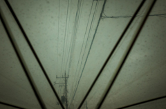 camucamu_20140421_65