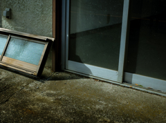 camucamu_20141016_124