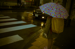 camucamu_20141216_03