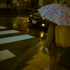 camucamu_20141216_03