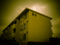 camucamu_20140911_97