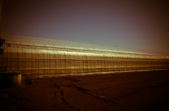 camucamu_20140322_40