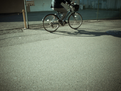 camucamu_20141205_01