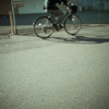 camucamu_20141205_01
