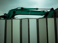 camucamu_20140814_90