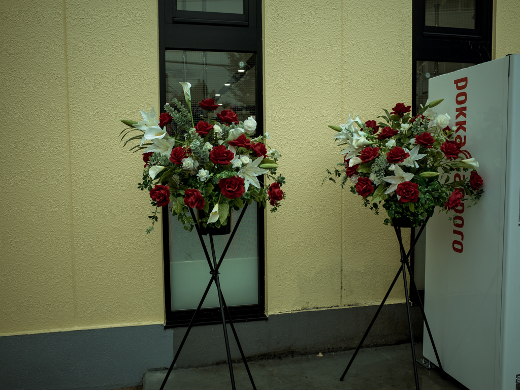 camucamu_20140828_93