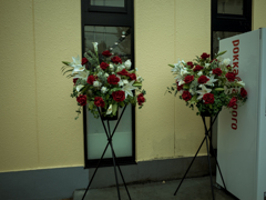 camucamu_20140828_93