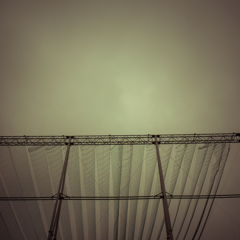 camucamu_20140301_10