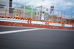 camucamu_20140625_79
