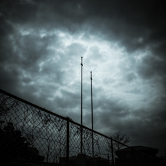 camucamu_20140319_31