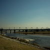 camucamu_20141030_128