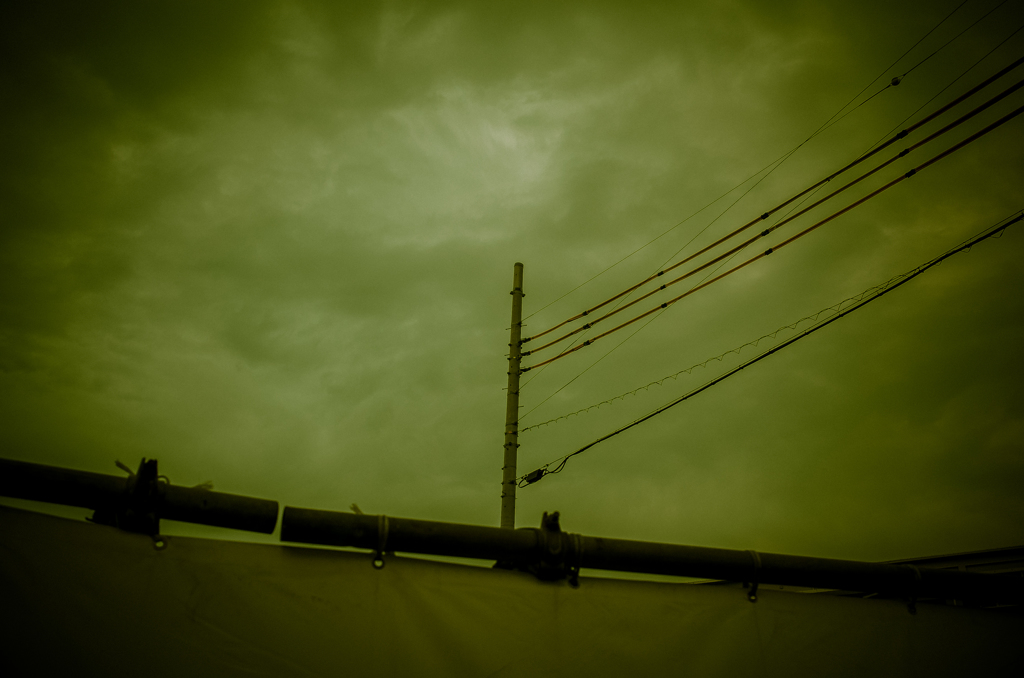 camucamu_20141102_131