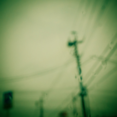 camucamu_20140320_34
