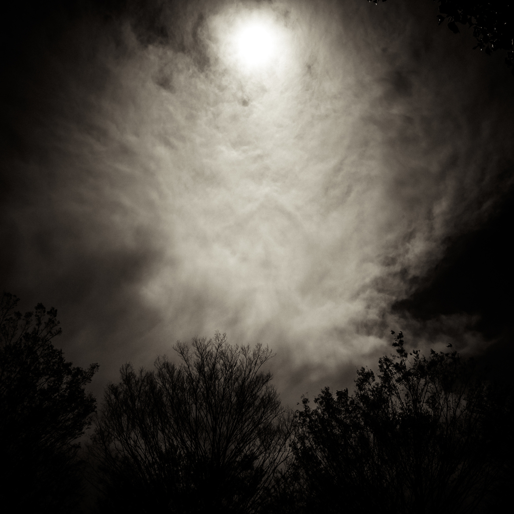 camucamu_20140404_52