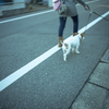camucamu_20141205_02