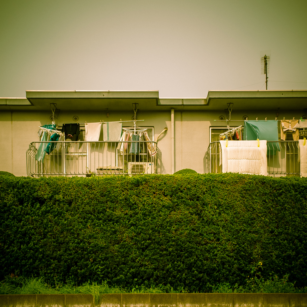 camucamu_20140413_60
