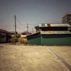 camucamu_20140324_42