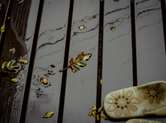 camucamu_20141005_112