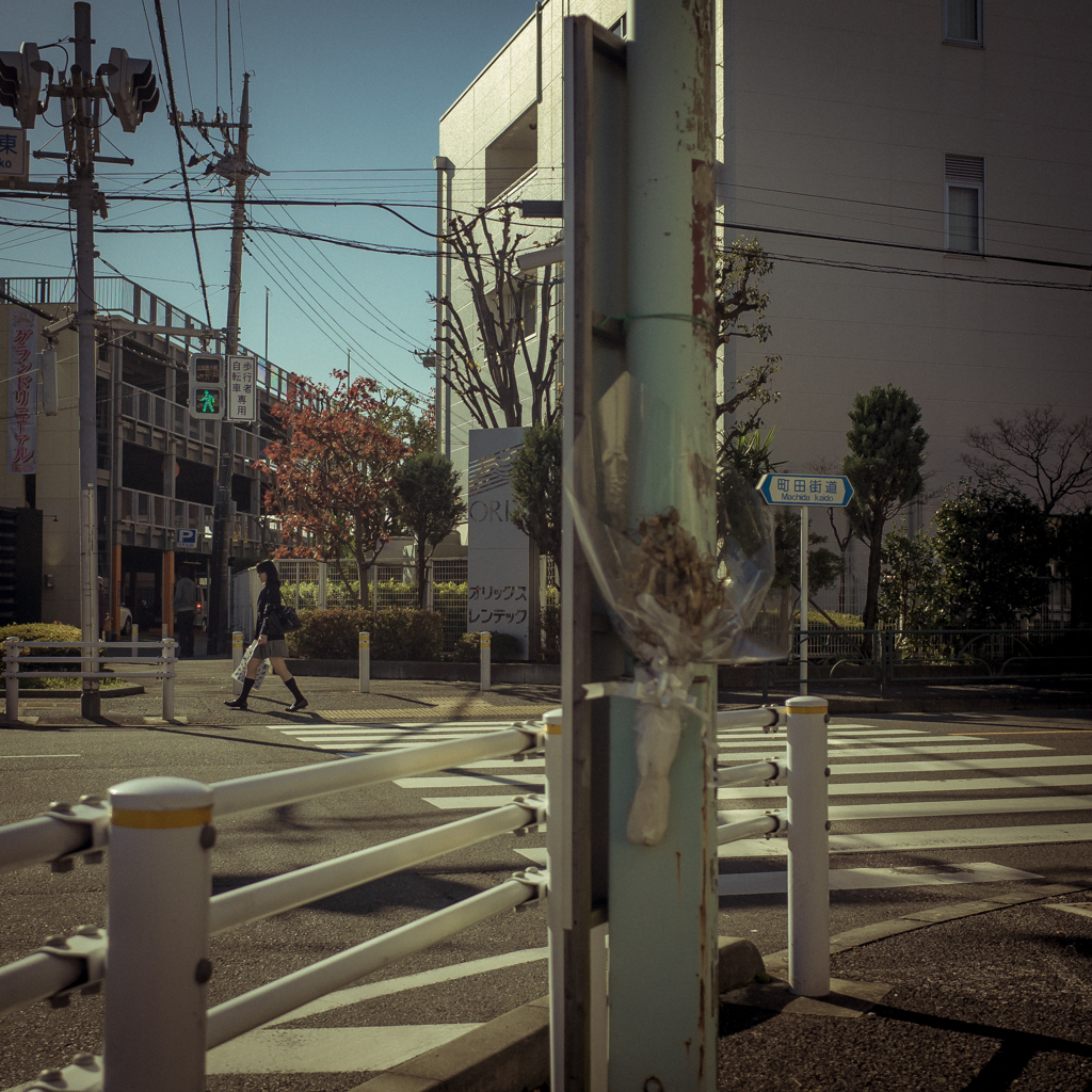 camucamu_20141127_152