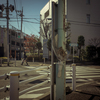 camucamu_20141127_152