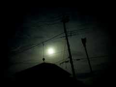 camucamu_20141006_113