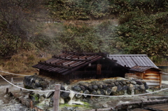 IMGP3085
