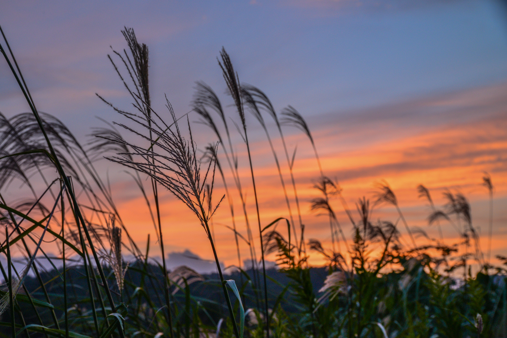 秋の夕暮れ