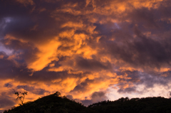 雨上がりの夕焼け