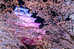夜に映える鶴ヶ城