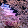 夜に映える鶴ヶ城