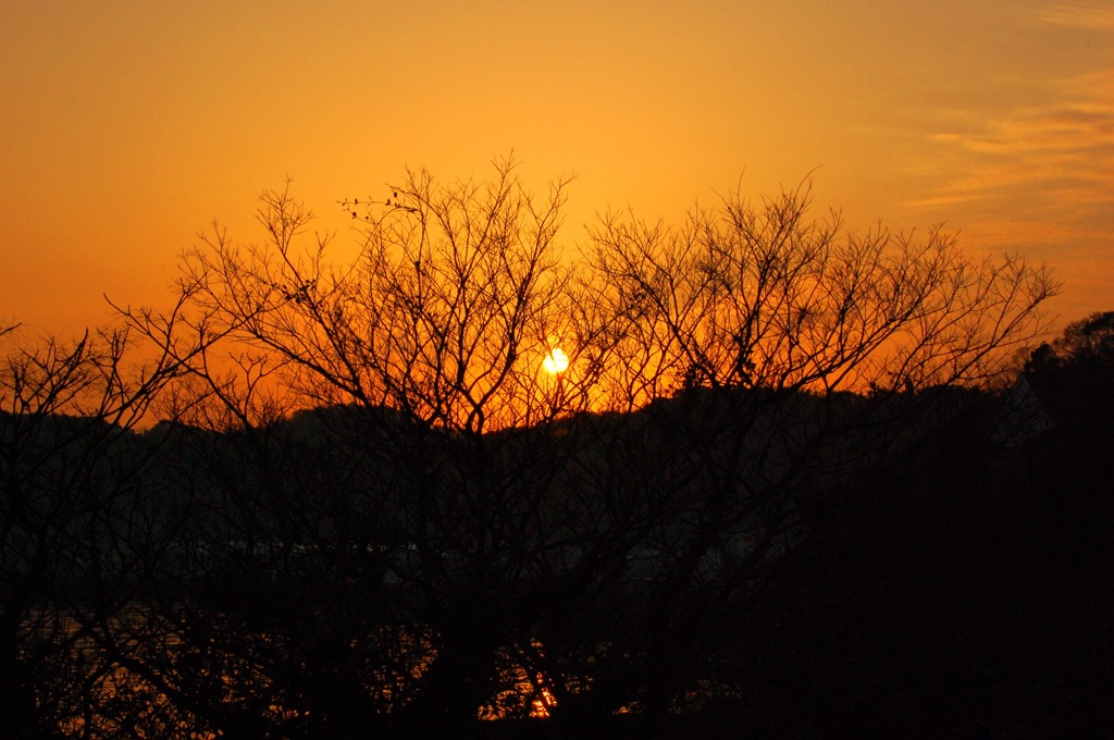 彼岸の夕日