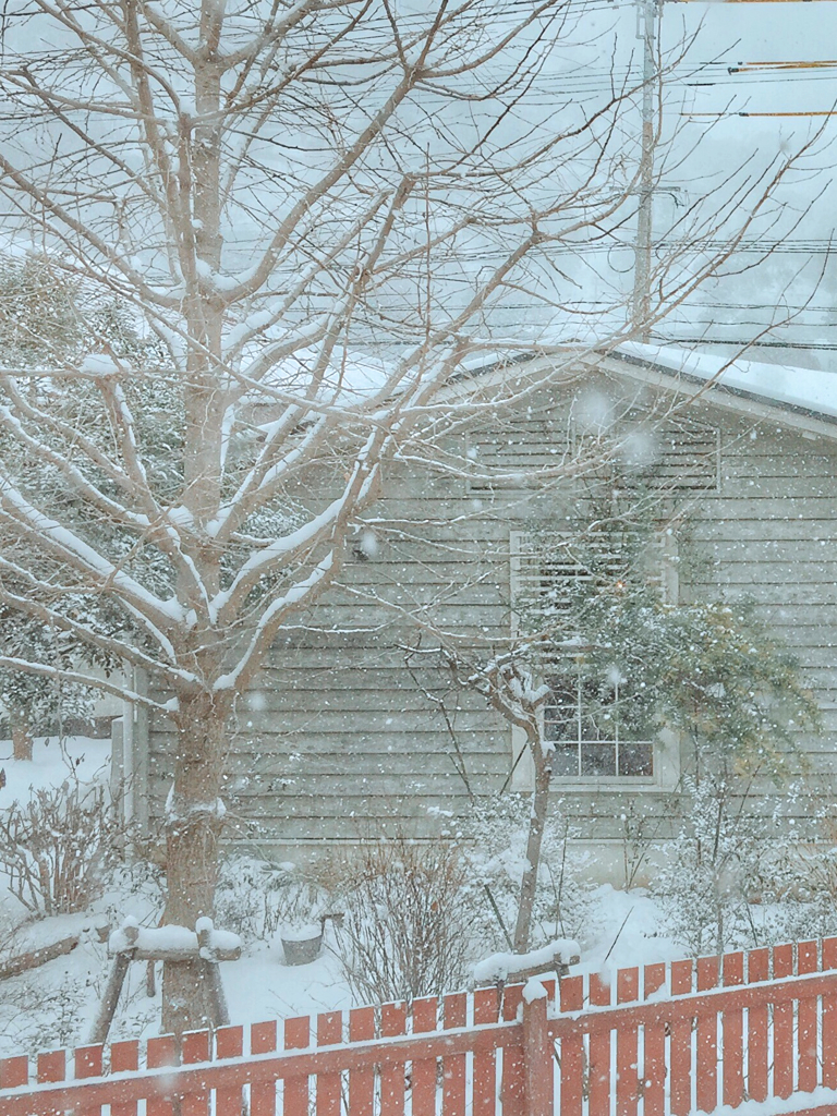 雪