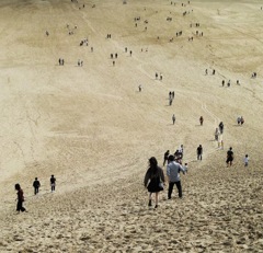 砂丘にできた道
