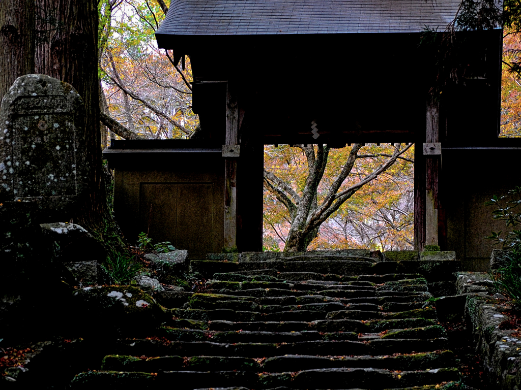 晩秋の山門２