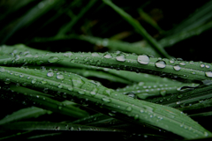 雨間