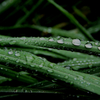 雨間