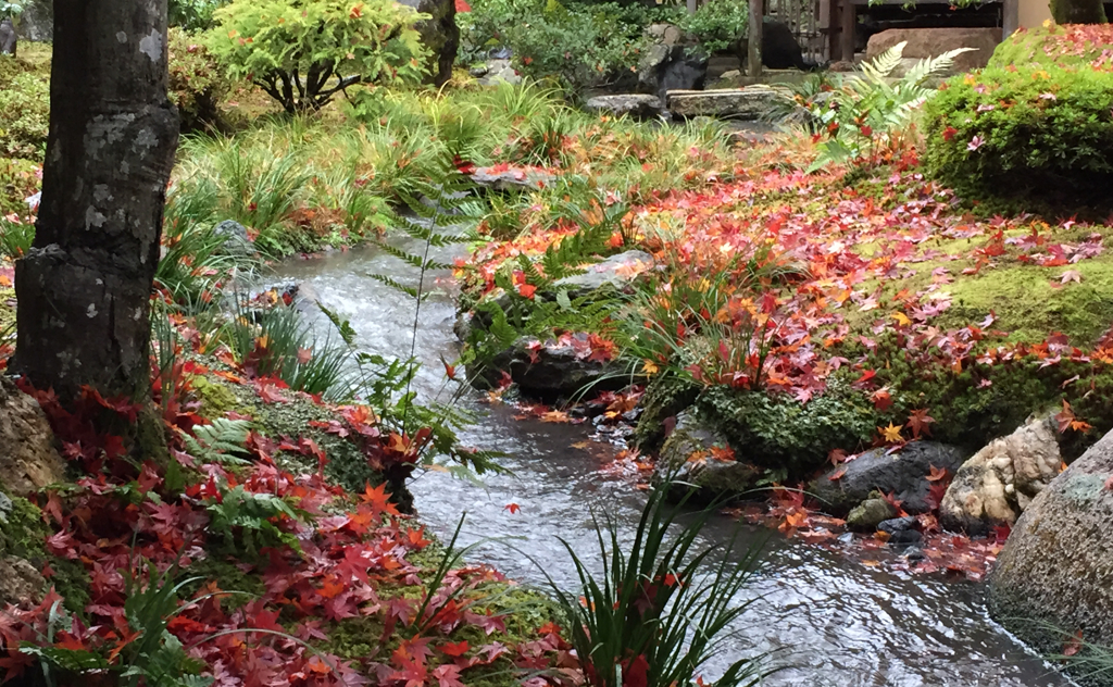 京都の紅葉３