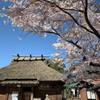 春の湯布院