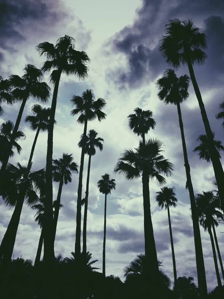 夏の風景
