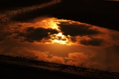 水たまりに映った夕日