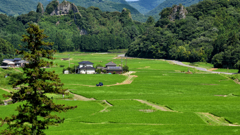 田園風景