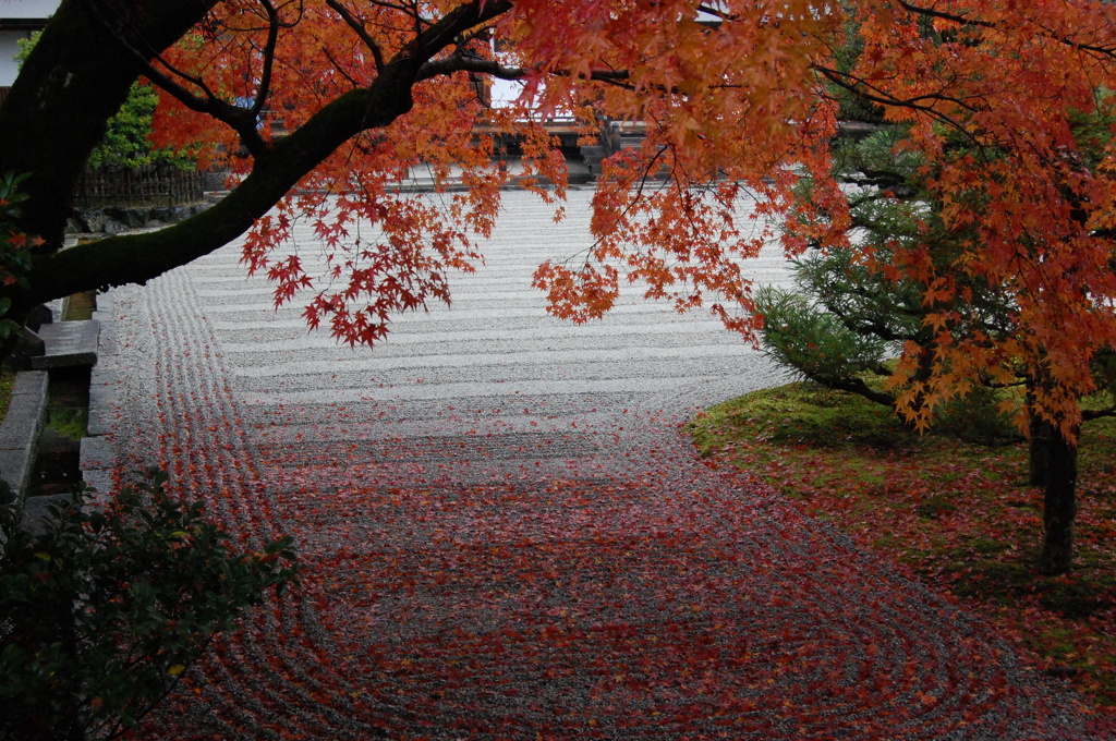 紅葉３