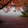 紅葉３