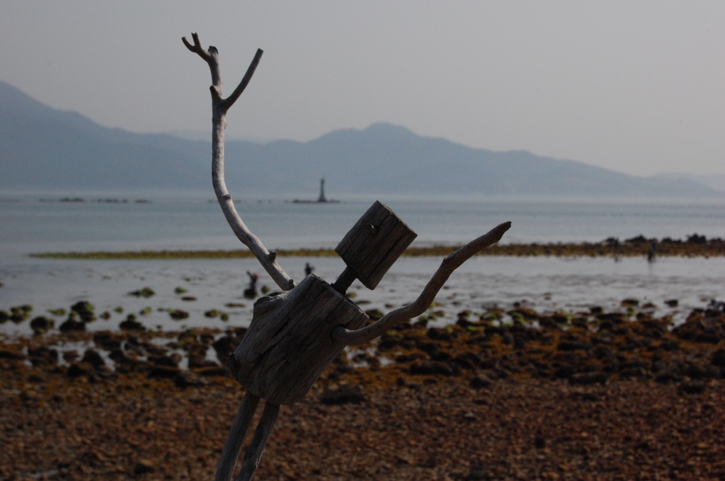流木のパフォーマー