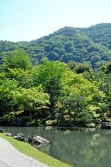嵐山