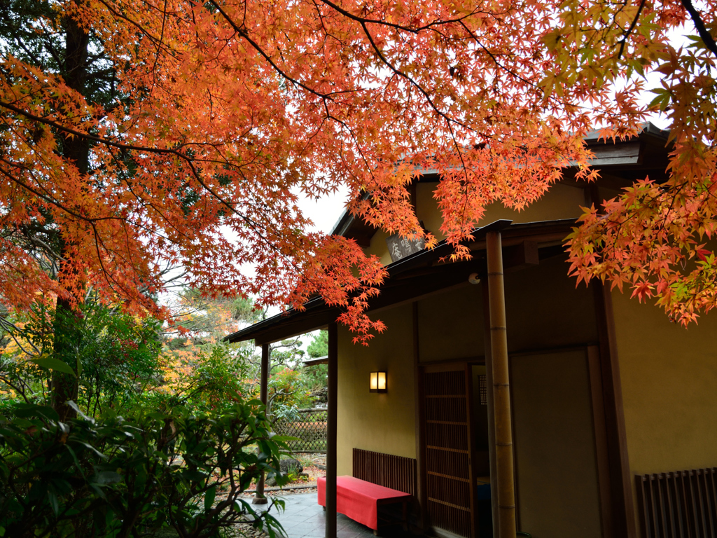 茶室「嚶鳴庵」