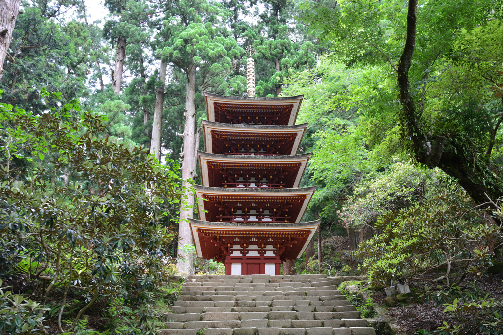 新緑に包まれた室生寺五重塔