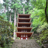 新緑に包まれた室生寺五重塔