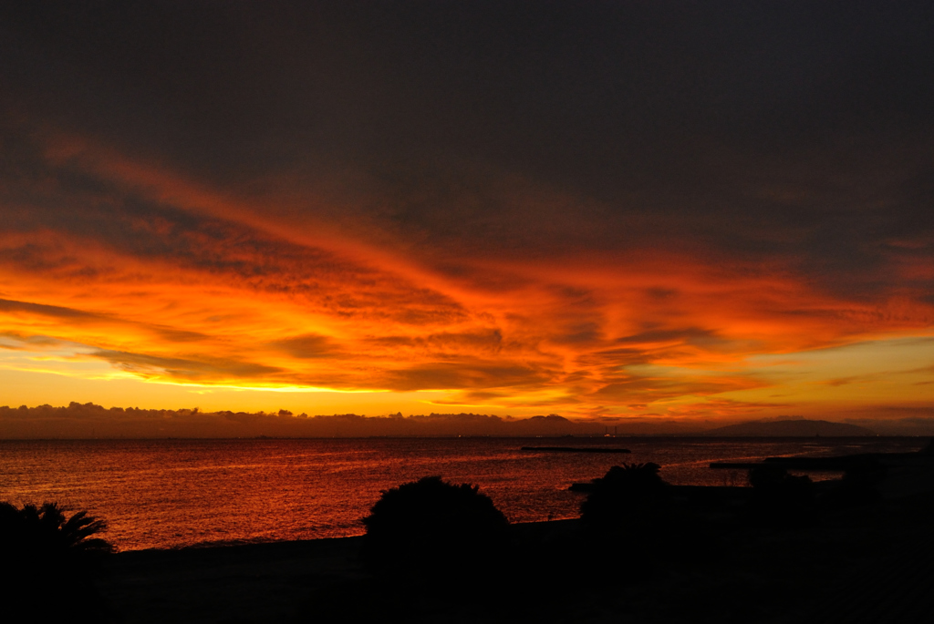 夕日