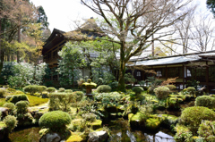 三千院門跡　有清園